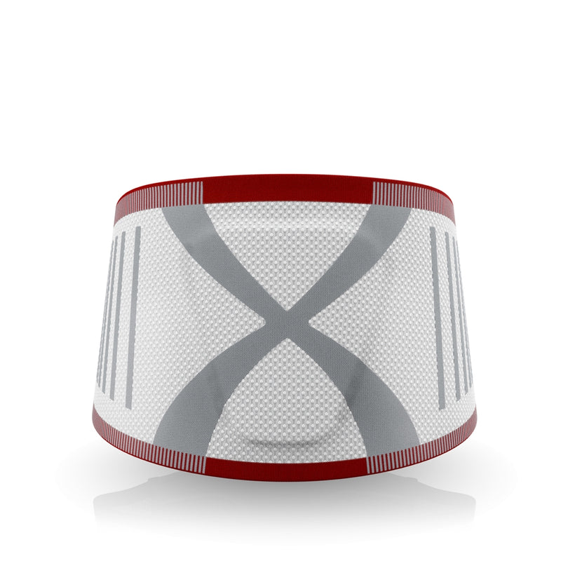 Load image into Gallery viewer, Actimove® LumbaMotion Back Support with Pressure Pad