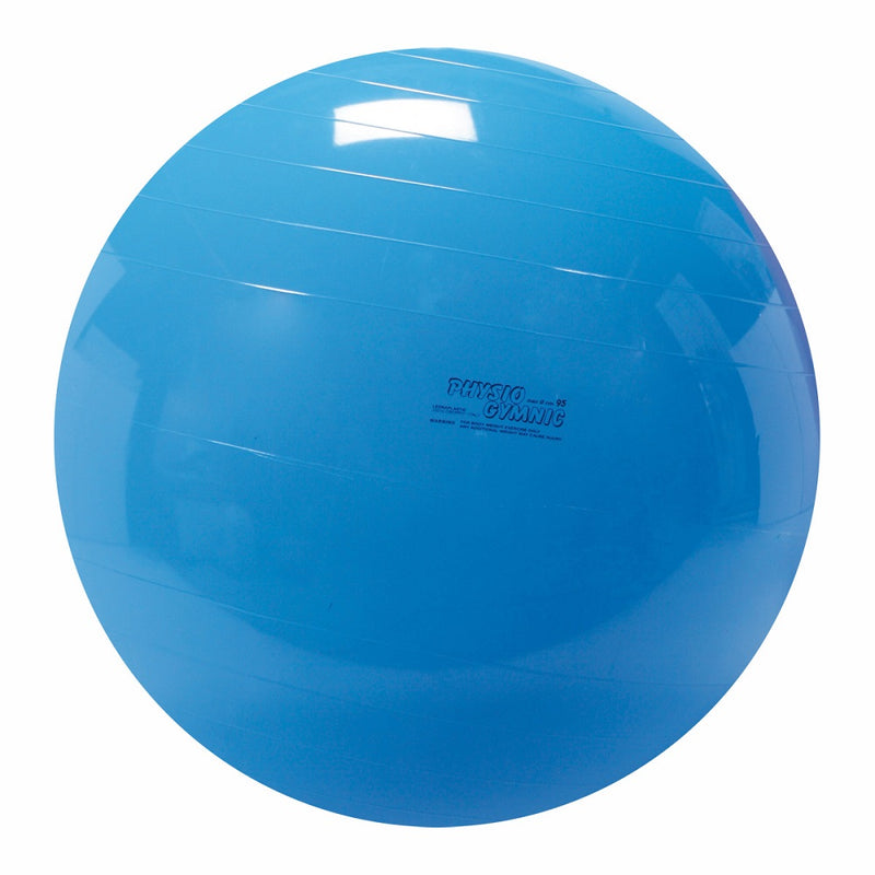 Load image into Gallery viewer, Gymnic Physio Exercise Balls