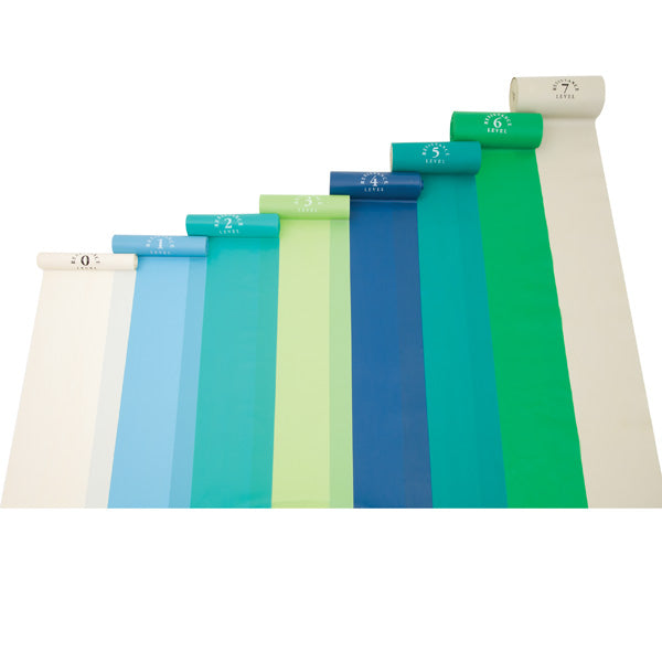 Load image into Gallery viewer, Norco® LEVELS™ Exercise Bands