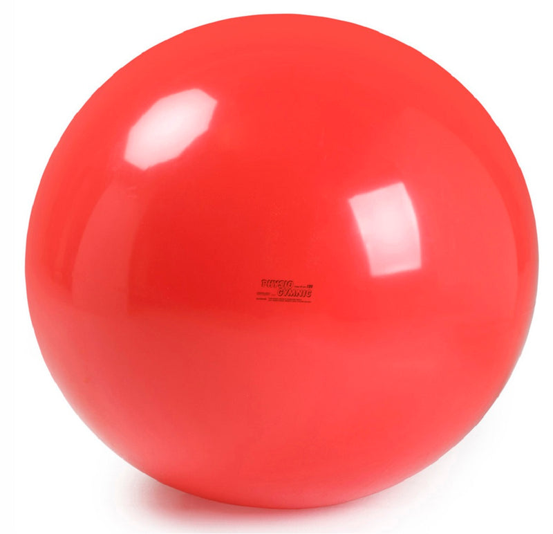 Load image into Gallery viewer, Gymnic Physio Exercise Balls
