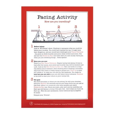 Load image into Gallery viewer, OPTP Explain Pain Poster Collection