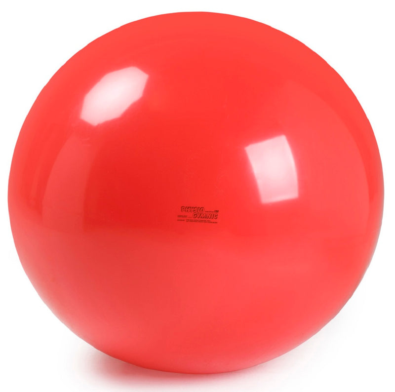 Load image into Gallery viewer, Gymnic Physio Exercise Balls