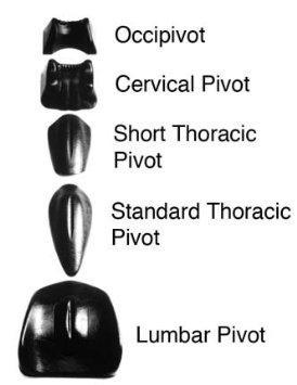 Load image into Gallery viewer, Magister Pivotal Therapy System - Soft Tissue System
