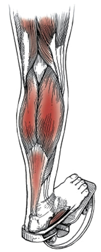 Load image into Gallery viewer, Medi-Dyne ProStretch Wooden, Double