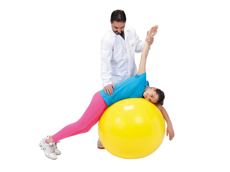 Load image into Gallery viewer, Gymnic Classic Exercise Balls