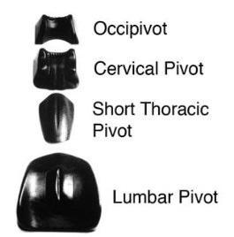 Load image into Gallery viewer, Magister Pivotal Therapy System - Soft Tissue System