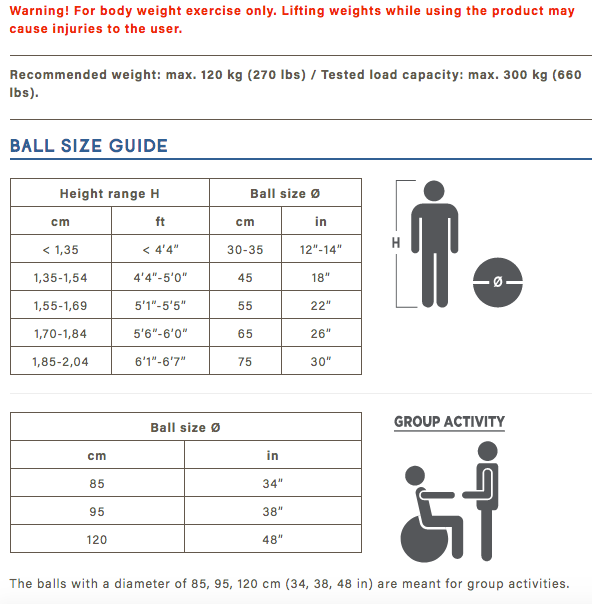 Load image into Gallery viewer, Gymnic Physio Exercise Balls