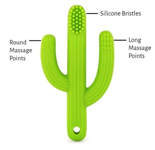 Load image into Gallery viewer, Cactus Toothbrush Teether