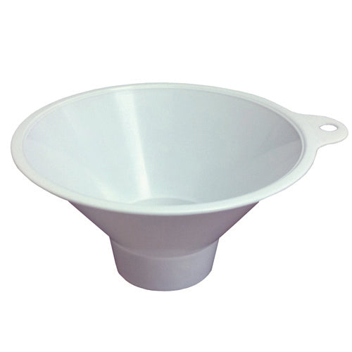 Blue Jay Collect a Stone Kidney Stone Collector