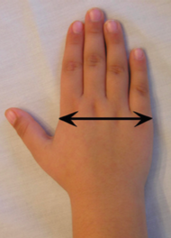 Load image into Gallery viewer, Kinsman Hand Weight, 2.25 in to 4 in Hand Width (.25 lbs - .50 lbs)