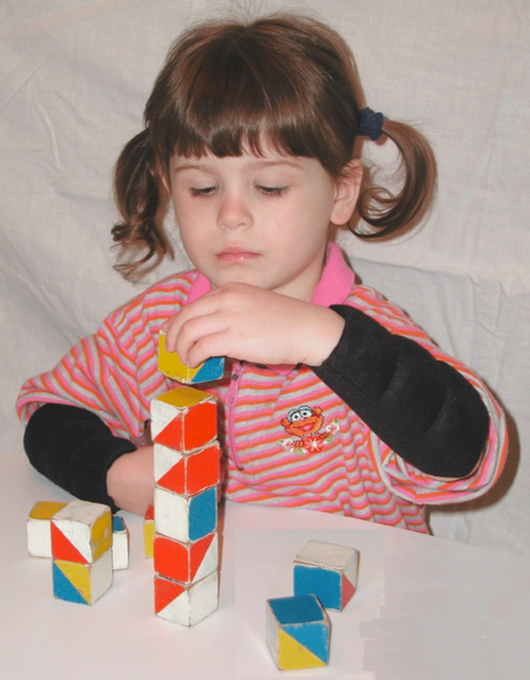 Load image into Gallery viewer, Kinsman Arm Weight Sleeve