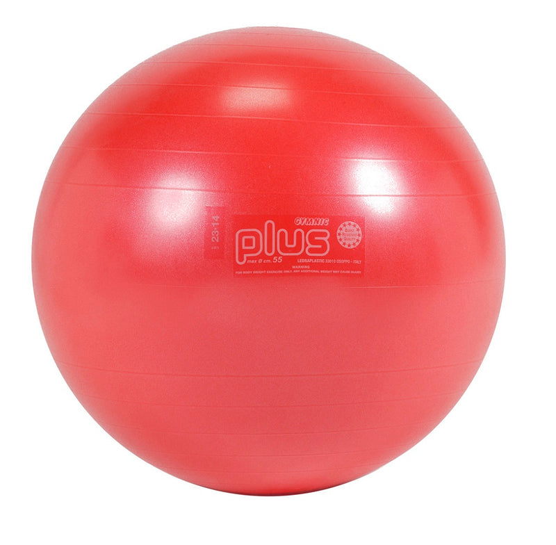 Load image into Gallery viewer, Gymnic Plus Exercise Balls
