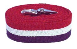 Load image into Gallery viewer, Kinsman Gait Transfer Belt - Color Coded Gait Belts with Metal Buckle

