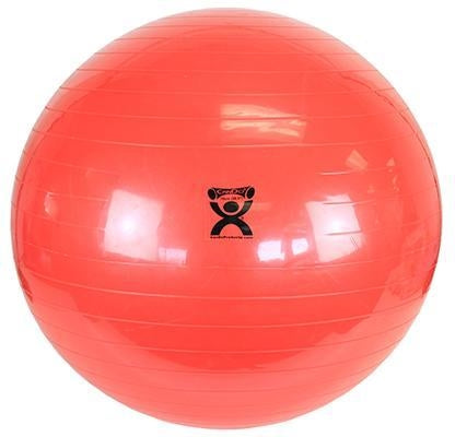 Load image into Gallery viewer, CanDo Inflatable Exercise Balls
