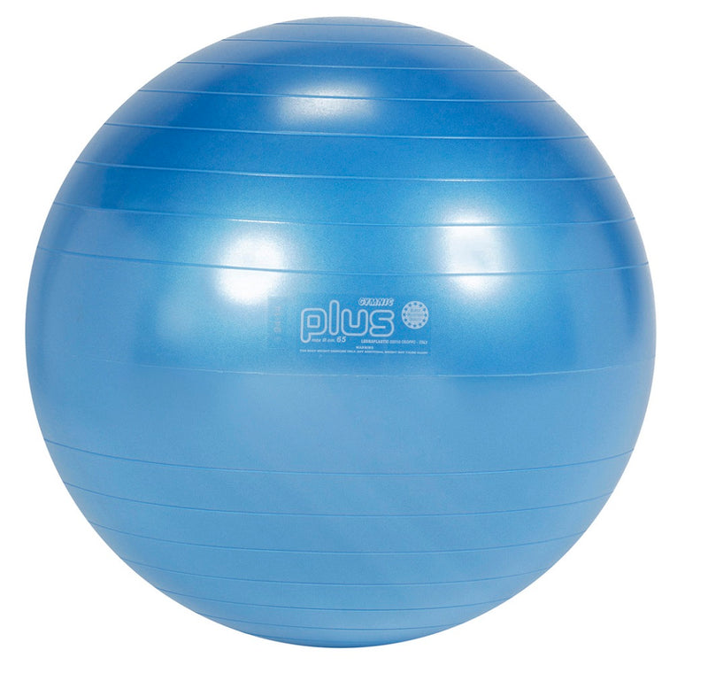 Load image into Gallery viewer, Gymnic Plus Exercise Balls

