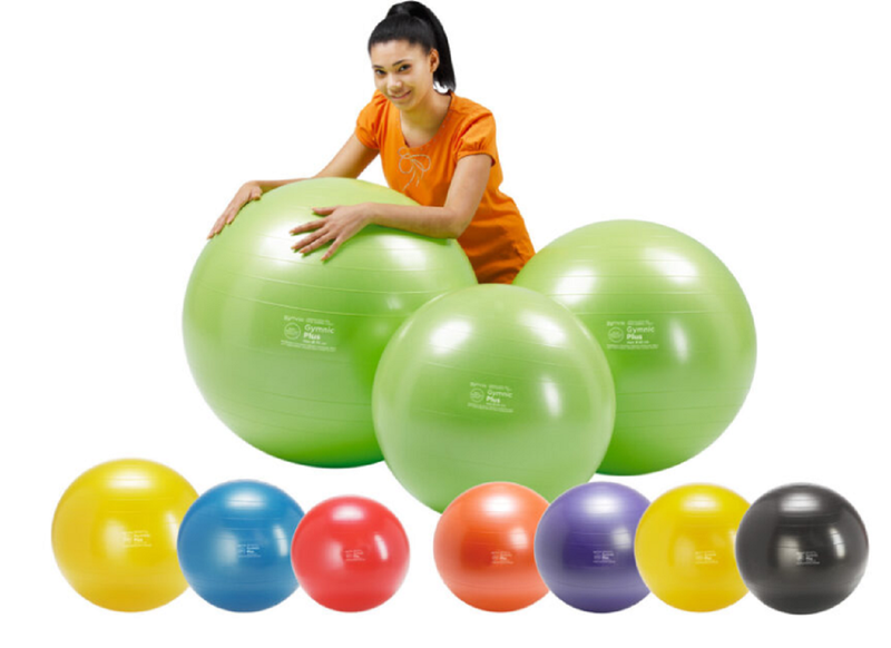 Load image into Gallery viewer, Gymnic Plus Exercise Balls
