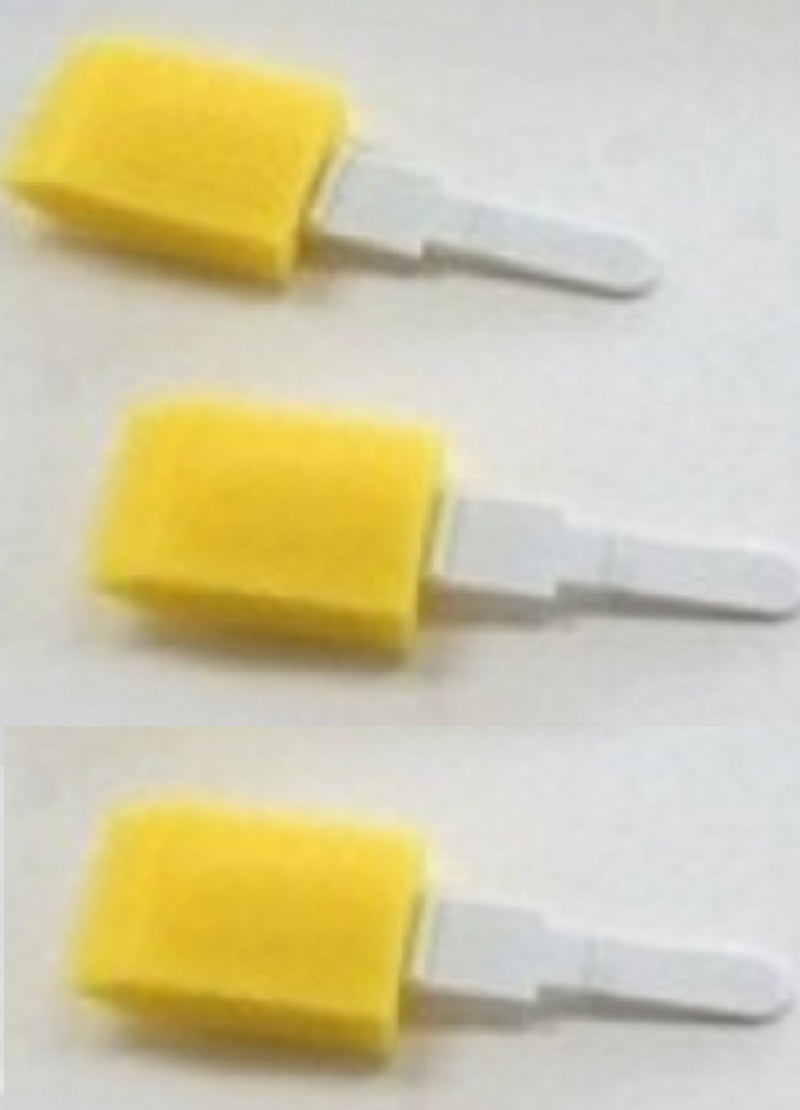 Load image into Gallery viewer, Dr. Joseph&#39;s Footbrush
