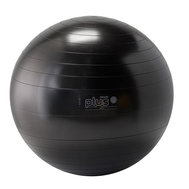 Load image into Gallery viewer, Gymnic Plus Exercise Balls
