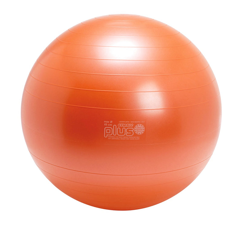 Load image into Gallery viewer, Gymnic Plus Exercise Balls
