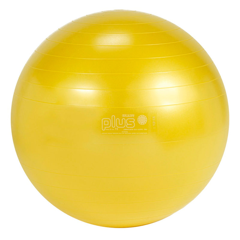 Load image into Gallery viewer, Gymnic Plus Exercise Balls
