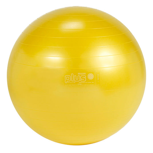Gymnic Plus Exercise Balls